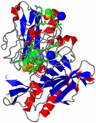 Image Asym./Biol. Unit - sites