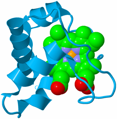 Image Biological Unit 10