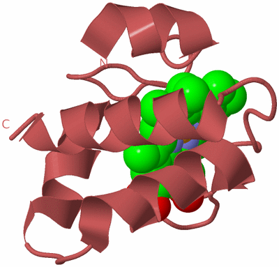 Image Biological Unit 11