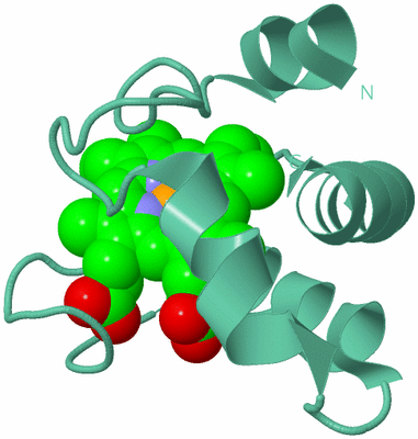 Image Biological Unit 12