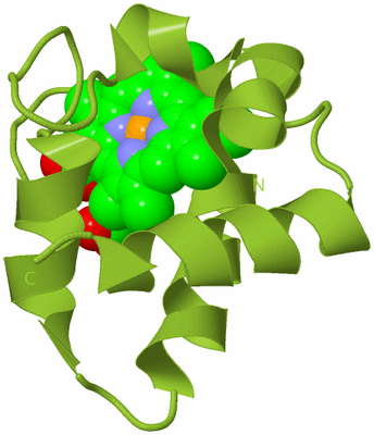 Image Biological Unit 13