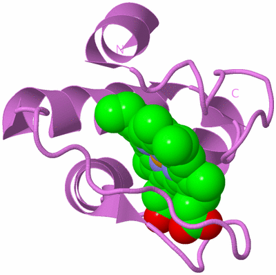 Image Biological Unit 14