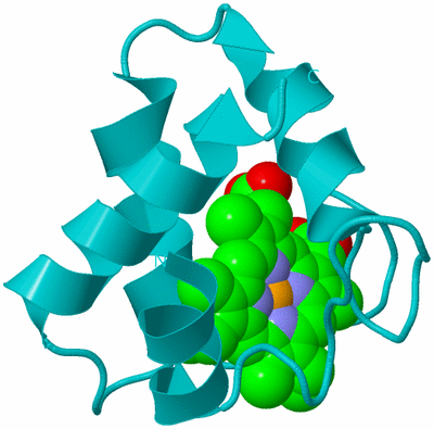 Image Biological Unit 15