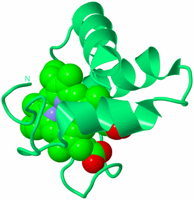 Image Biological Unit 16