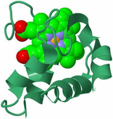 Image Biological Unit 17