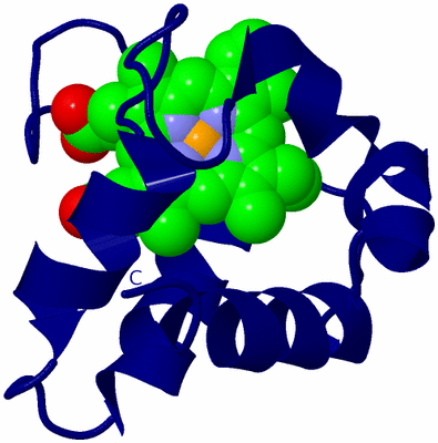 Image Biological Unit 18