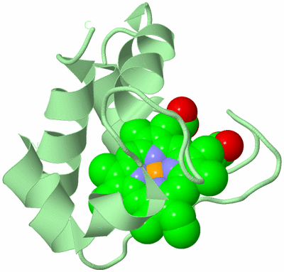 Image Biological Unit 2