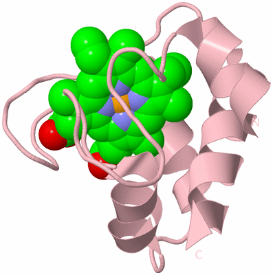 Image Biological Unit 3