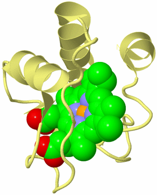 Image Biological Unit 4