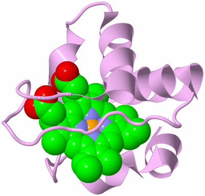 Image Biological Unit 5