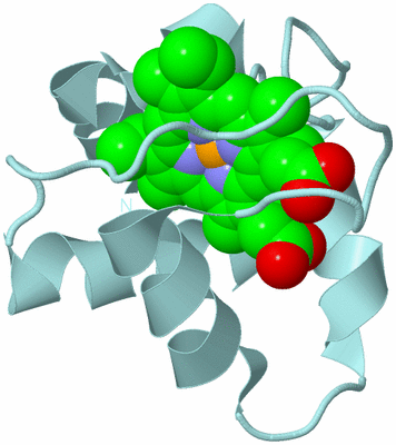 Image Biological Unit 6