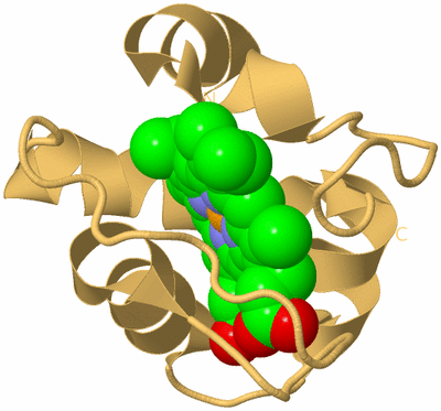 Image Biological Unit 7