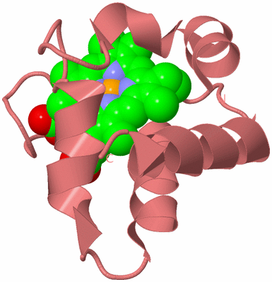 Image Biological Unit 8