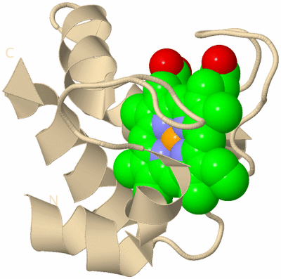 Image Biological Unit 9