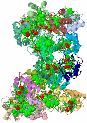 Image Asym. Unit - sites