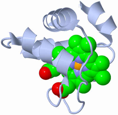 Image Biological Unit 1