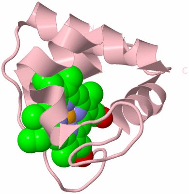 Image Biological Unit 3