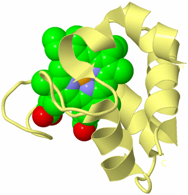 Image Biological Unit 4