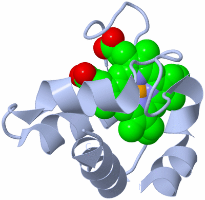 Image Biological Unit 1