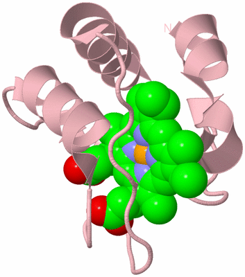 Image Biological Unit 3