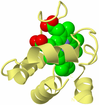 Image Biological Unit 4