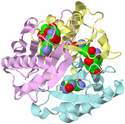 Image Biological Unit 1