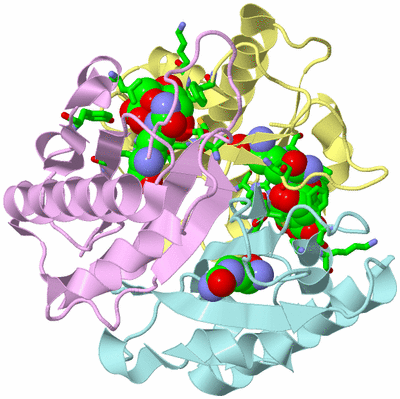 Image Biol. Unit 1 - sites