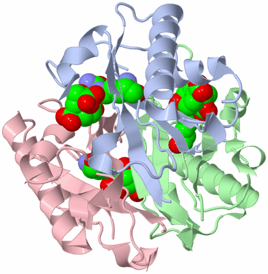 Image Biological Unit 2