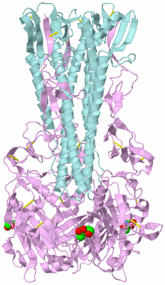 Image Biological Unit 1