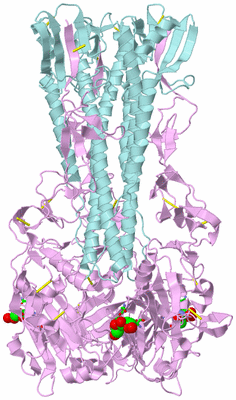 Image Biol. Unit 1 - sites