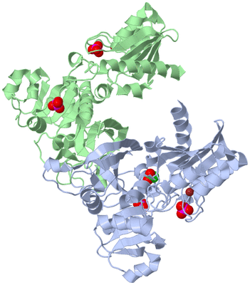 Image Asym./Biol. Unit