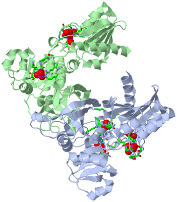 Image Asym./Biol. Unit - sites