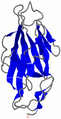 Image NMR Structure - model 1