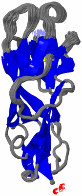 Image NMR Structure - all models