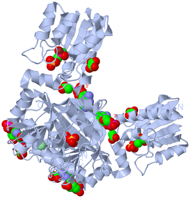 Image Biological Unit 1