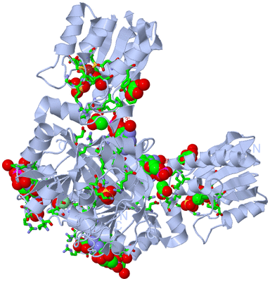 Image Biol. Unit 1 - sites