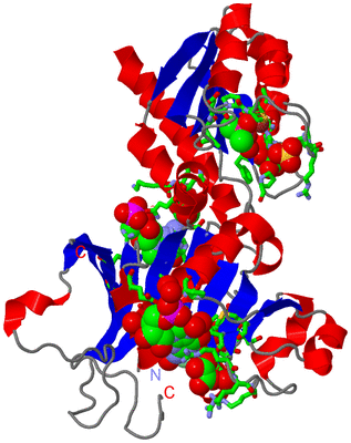 Image Asym. Unit - sites