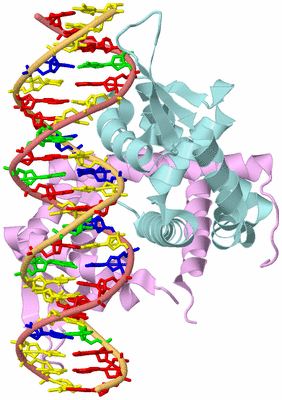 Image Biological Unit 2