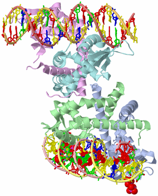 Image Asym. Unit - sites