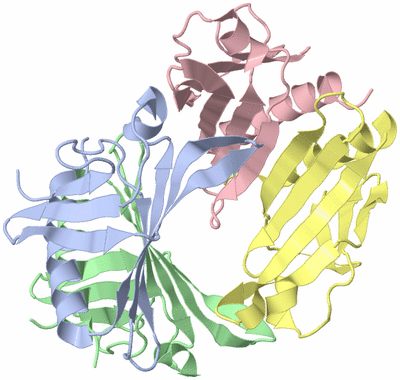 Image Asymmetric Unit