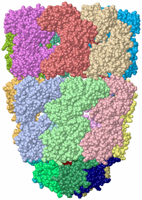 Image Asym./Biol. Unit