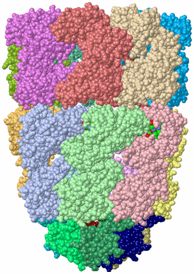 Image Asym./Biol. Unit - sites