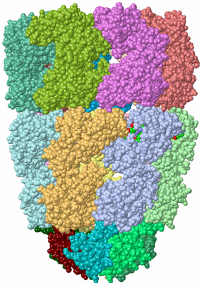 Image Asym./Biol. Unit - sites