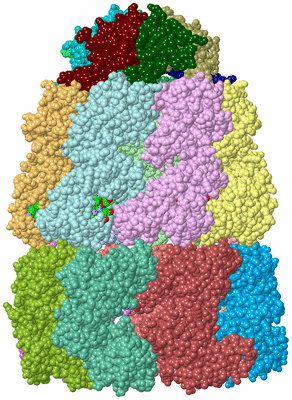 Image Asym./Biol. Unit - sites