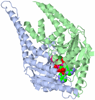 Image Biological Unit 1