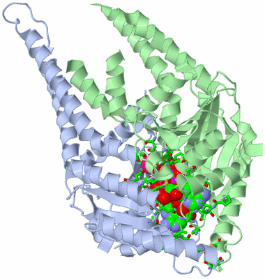 Image Biol. Unit 1 - sites