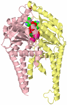 Image Biological Unit 2