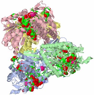 Image Asym./Biol. Unit - sites