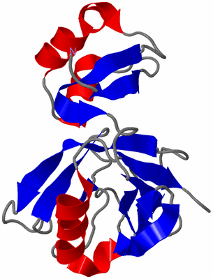 Image NMR Structure - model 1