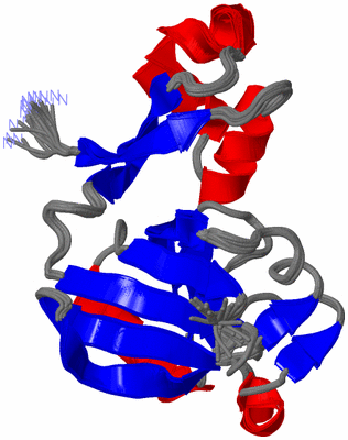 Image NMR Structure - all models